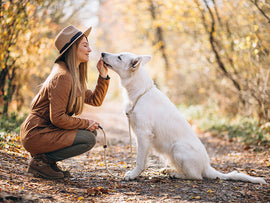 Give This Dog Joint Support Supplement If Your Pet Is Suffering